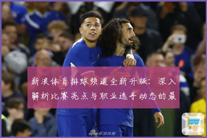 新浪体育排球频道全新升级:深入解析比赛亮点与职业选手动态的最佳入口