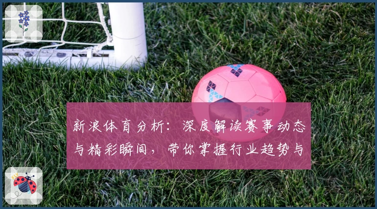 新浪体育分析：深度解读赛事动态与精彩瞬间，带你掌握行业趋势与专业见解