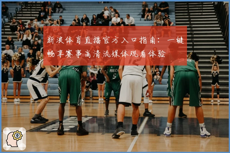 新浪体育直播官方入口指南：一键畅享赛事高清流媒体观看体验