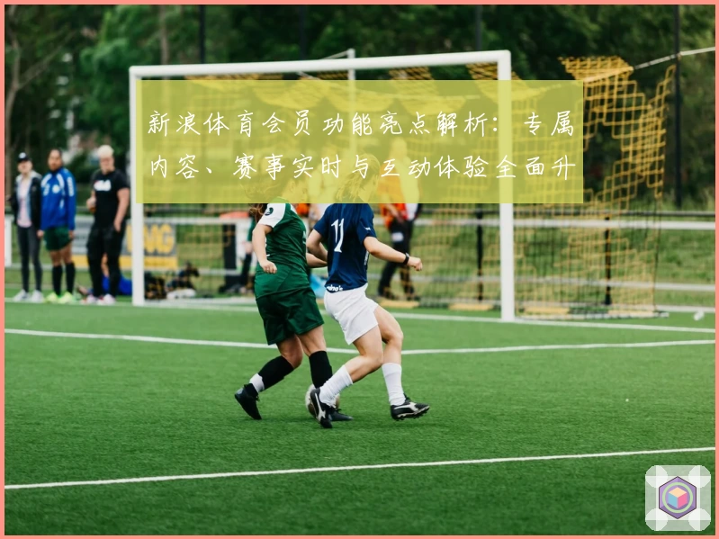 新浪体育会员功能亮点解析：专属内容、赛事实时与互动体验全面升级