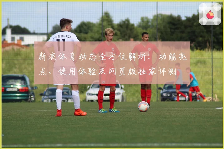 新浪体育动态全方位解析：功能亮点、使用体验及网页版独家评测