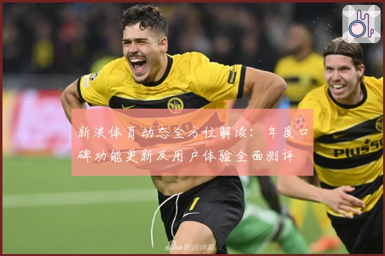 新浪体育动态全方位解读：年度口碑功能更新及用户体验全面测评