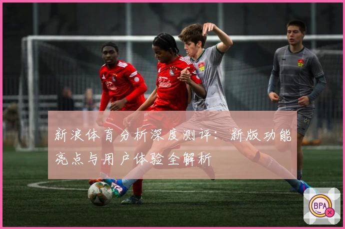 新浪体育分析深度测评：新版功能亮点与用户体验全解析