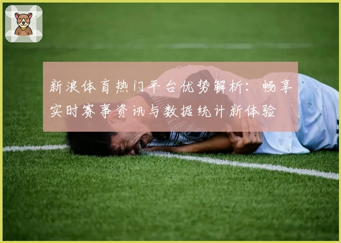 新浪体育热门平台优势解析：畅享实时赛事资讯与数据统计新体验