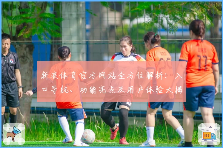 新浪体育官方网站全方位解析：入口导航、功能亮点及用户体验大揭秘