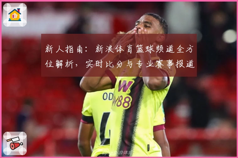 新人指南：新浪体育篮球频道全方位解析，实时比分与专业赛事报道助您尽享篮球魅力