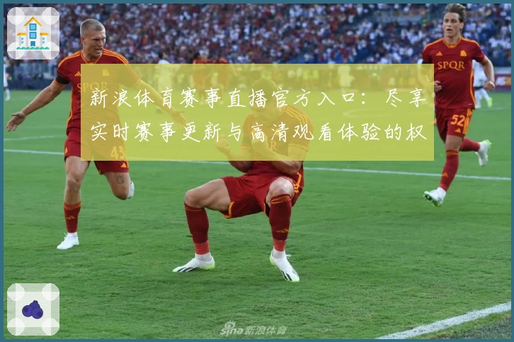 新浪体育赛事直播官方入口：尽享实时赛事更新与高清观看体验的权威指南