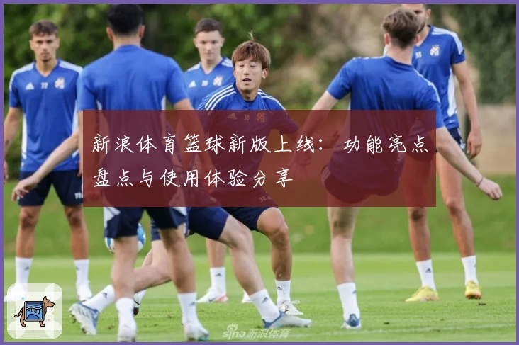 新浪体育篮球新版上线：功能亮点盘点与使用体验分享