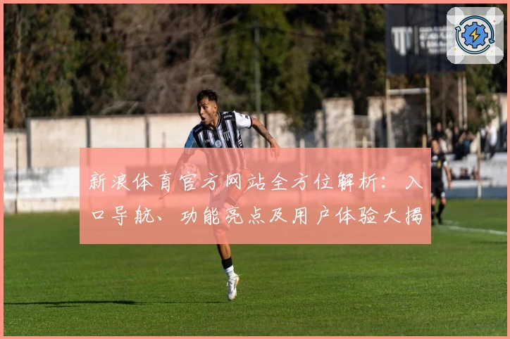 新浪体育官方网站全方位解析：入口导航、功能亮点及用户体验大揭秘