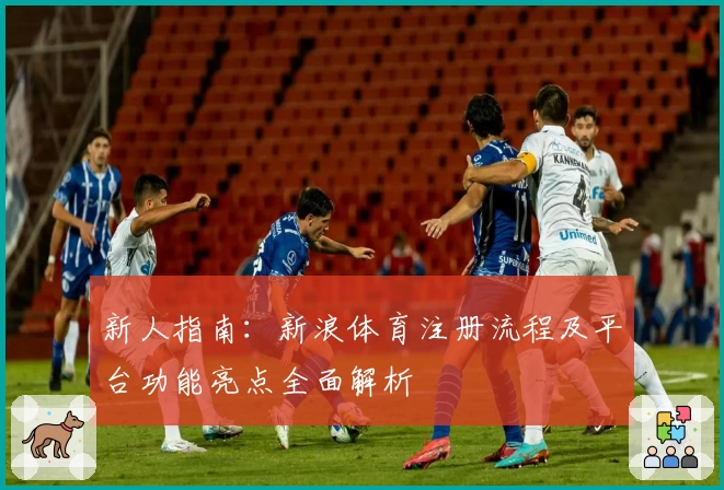 新人指南：新浪体育注册流程及平台功能亮点全面解析
