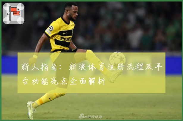 新人指南：新浪体育注册流程及平台功能亮点全面解析